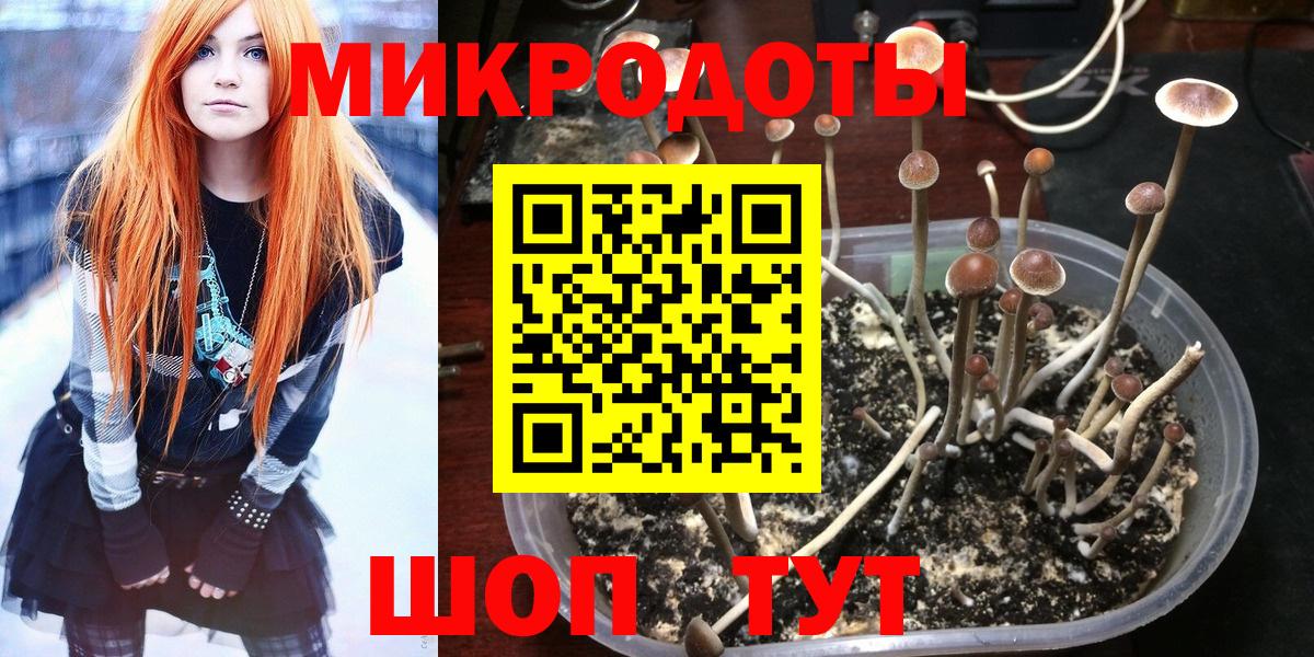 магазин    Вход с VPN  Кувандык  Галлюциногенные грибы мицелий 